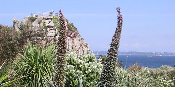 visiter roscoff jardin botanique