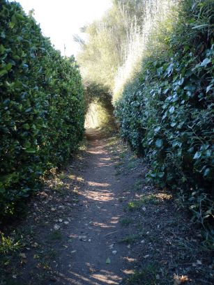 camping familial finistere nord